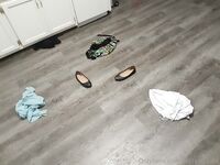 Bridget Blake Onlyfans pictures