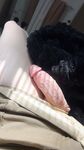 Bambi snow  Onlyfans pictures