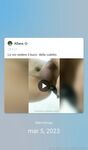 Allana allyxxl Onlyfans pictures