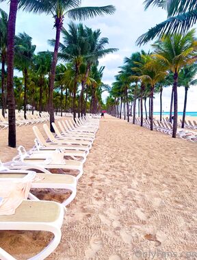 Parizanderson Onlyfans pictures 2